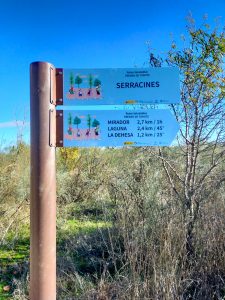 Baliza direccional Serracines con paneles de rutas y tiempos en entorno natural